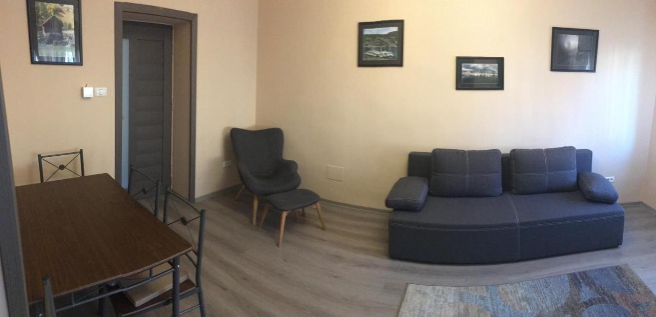 Milan House Apartman Arad Kültér fotó