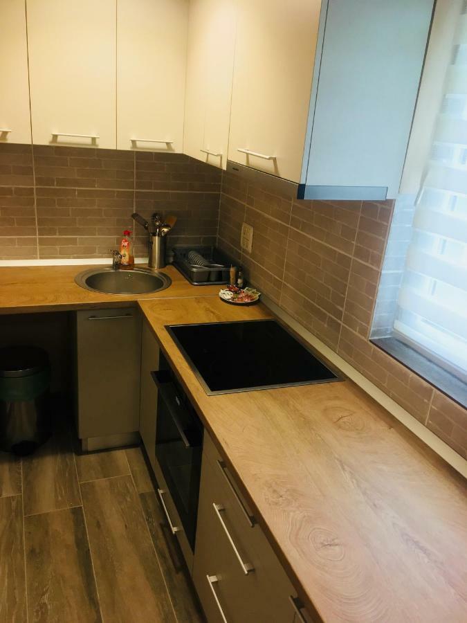 Milan House Apartman Arad Kültér fotó